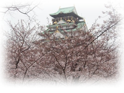 大阪城公園の桜