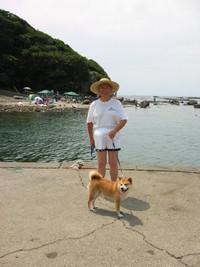 下田温泉の旅館　海辺のお宿いそかぜ