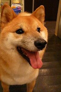 はなちゃんとママ
