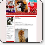 【「猫カフェ」はじめました☆】