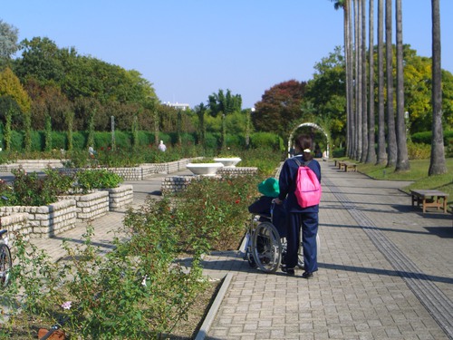 11月遠足(長居公園内植物園) 11月遠足(長居公園内植物園)