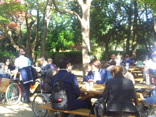 11月遠足（長居公園内植物園）