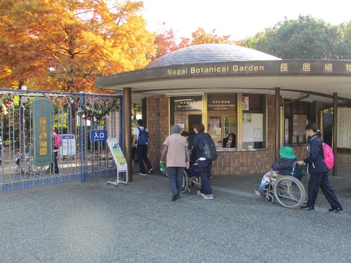 11月遠足（長居公園内植物園）