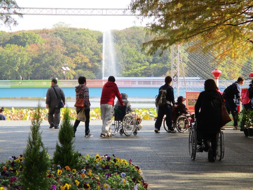 11月遠足（長居公園内植物園）