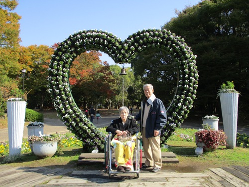 11月遠足（長居公園内植物園）