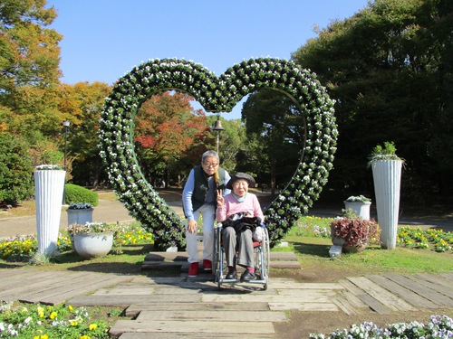 11月遠足（長居公園内植物園）