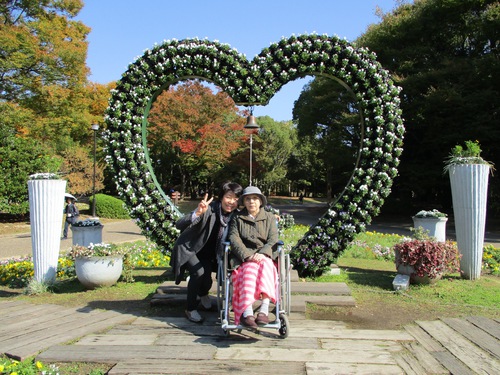 11月遠足（長居公園内植物園）