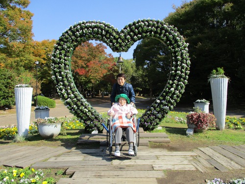 11月遠足（長居公園内植物園）