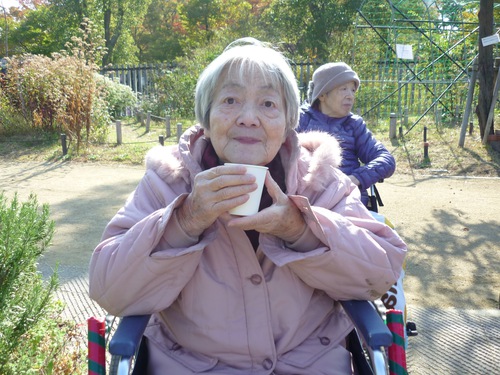 11月遠足(長居公園内植物園) 11月遠足(長居公園内植物園)