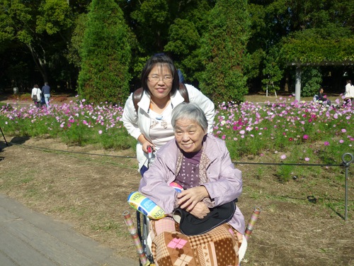 11月遠足(長居公園内植物園) 11月遠足(長居公園内植物園)
