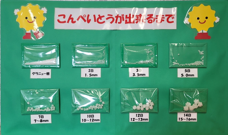 新商品開発とともにコンペイトウの魅力を発信し続ける「フロイスしおり」社長 新商品開発とともにコンペイトウの魅力を発信し続ける「フロイスしおり」社長