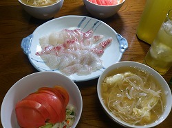 鯛 鯛