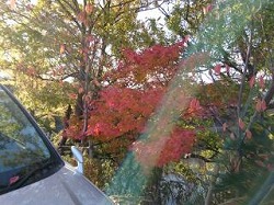 リフレッシュ リフレッシュ