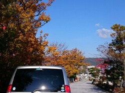 リフレッシュ リフレッシュ