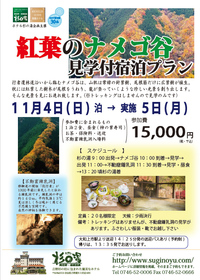 秋のプラン～紅葉のナメゴ谷見学付き宿泊プラン