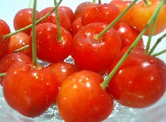 番外編23~瑞々しい