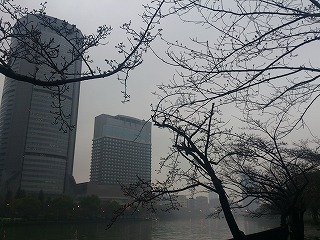 雨上がりの毛馬桜之宮公園