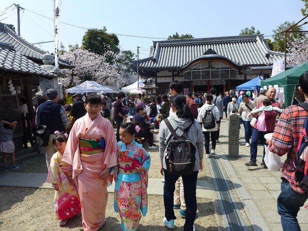 「富田の桜まつり」で賑わう三輪神社