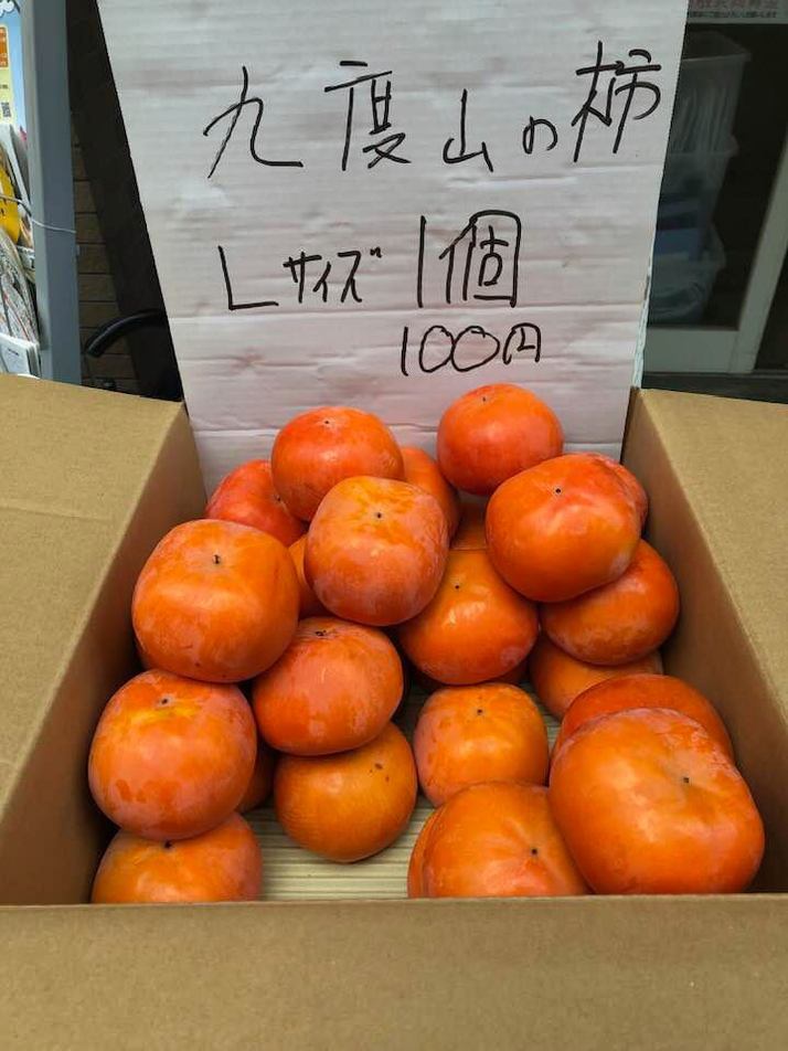 今日も柿屋さんしています。新しく送られてきました。 今日も柿屋さんしています。新しく送られてきました。