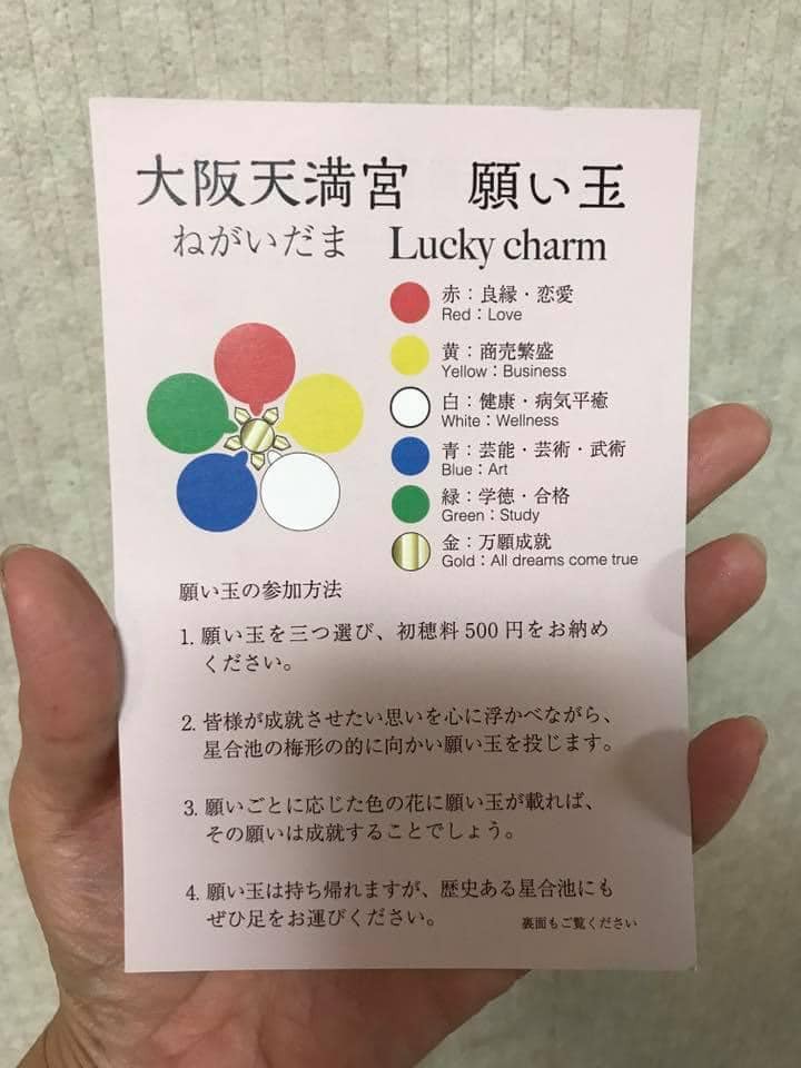 まもなく星合の池の梅が満開になりますよ~ まもなく星合の池の梅が満開になりますよ~