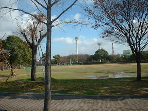 今朝の小田南公園。