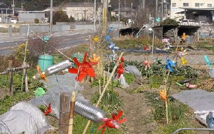 家庭菜園の風車諷景