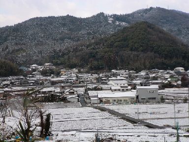 早春の雪降り