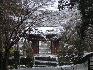 早春の雪降り