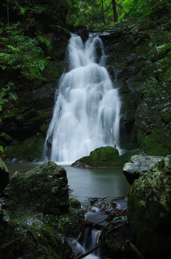 白滝