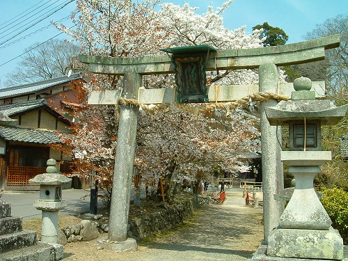 原地区の「大蛇祭り」