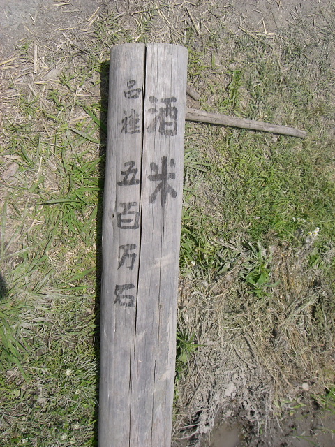 酒米五百万石の田植え