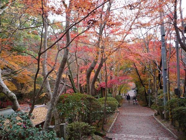 神峰山寺の紅葉