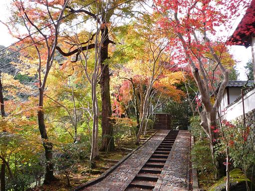 神峰山寺の紅葉