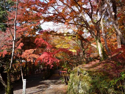 神峰山寺の紅葉