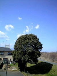 東京南多摩☆日野
