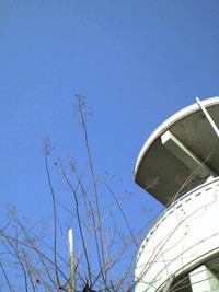 東京南多摩☆日野