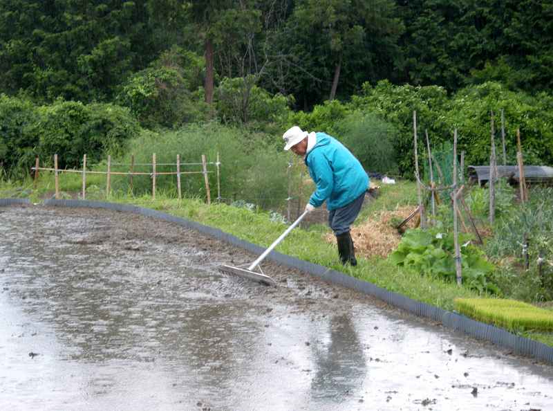 田植え始まる