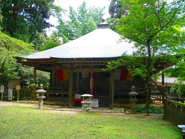 岩湧の森ー1