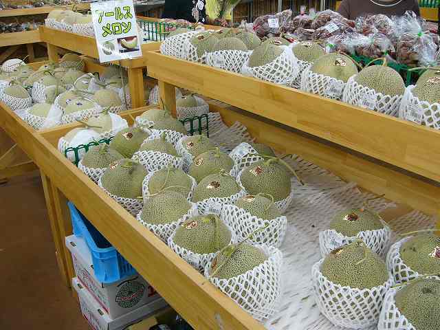 直売所探訪記