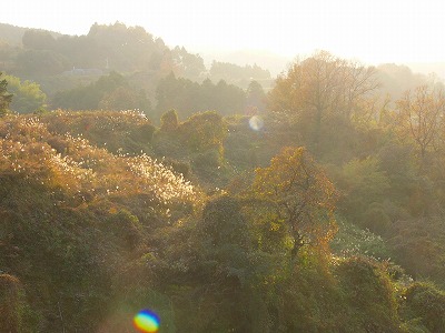 日溜まりの風景