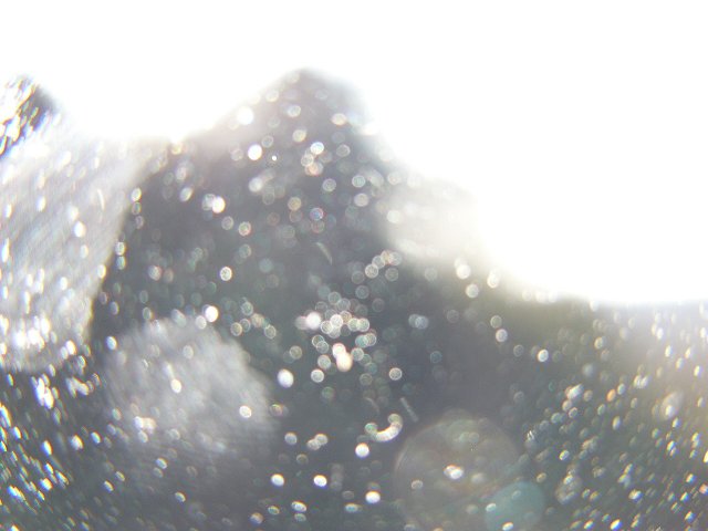 ご陽気に誘われて