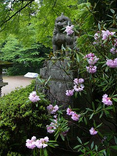 雨の楠公祭