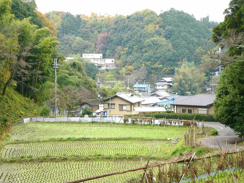 弘川寺の紅葉