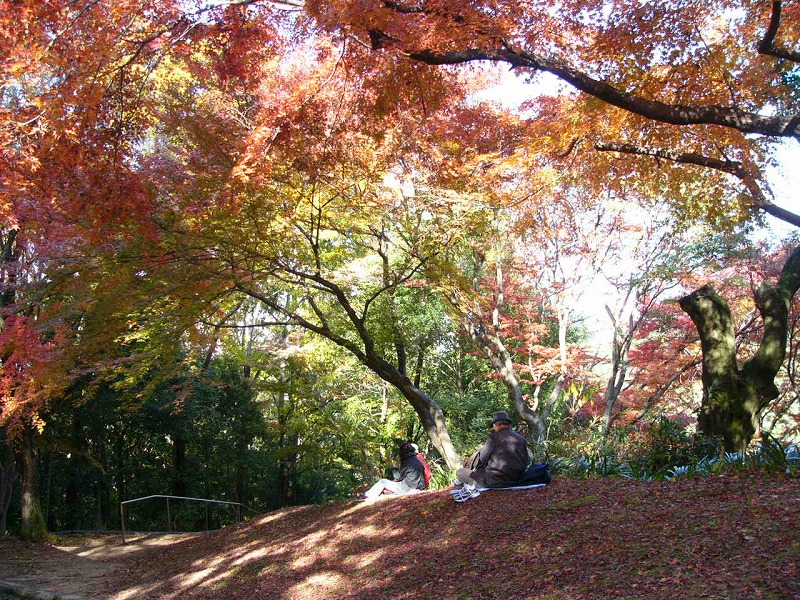 延命寺の紅葉