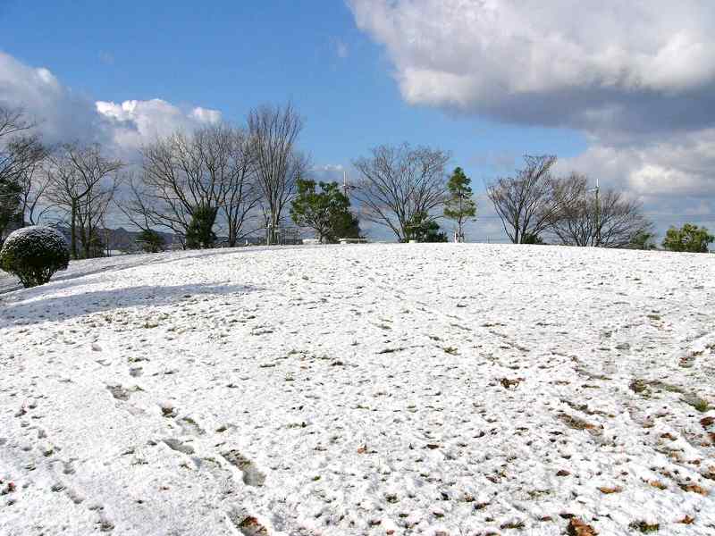 再び雪の話を