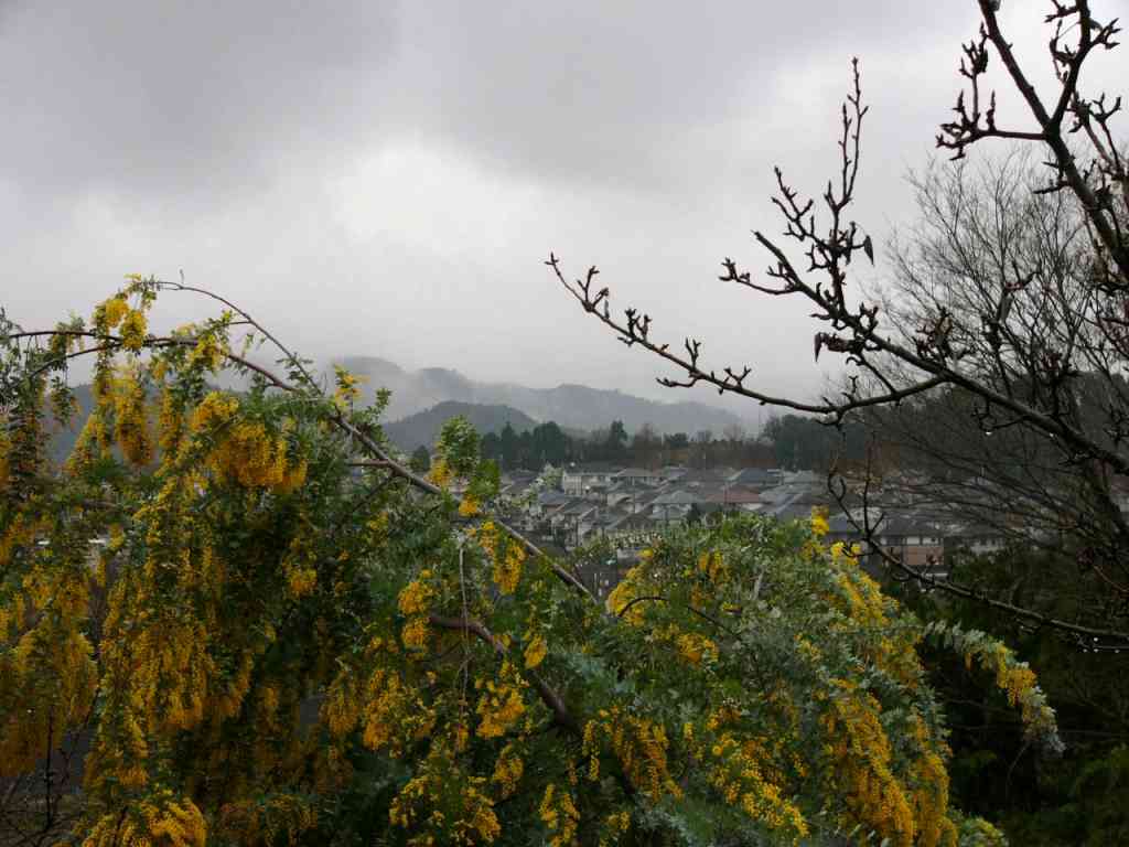 雨降り続く日々
