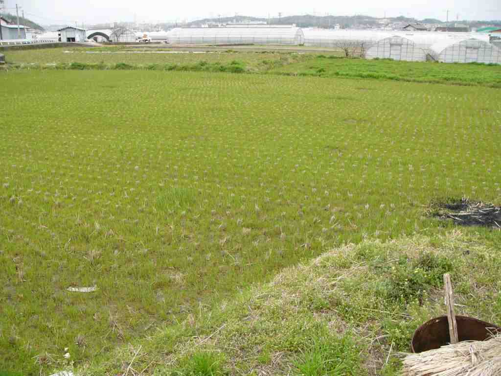 田舎の百姓屋
