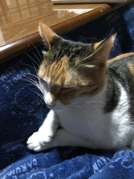 明けましておめでとうございます㊗️ 明けましておめでとうございます㊗️