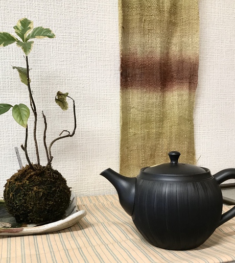 新茶の美味しい季節です 新茶の美味しい季節です