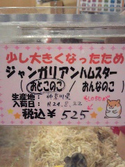 ☆ニューフェイス☆